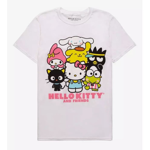 NWT sanrio and friends boyfriend fit tee - Picture 1 of 6